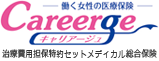 Careerge